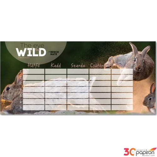Órarend Ars Una egylapos The Eyes Of The Wild-2 (5113) 21 Öntapadós füzetcímke 3ívx6db