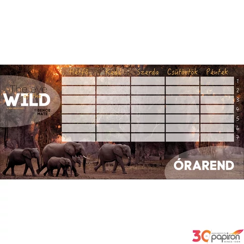Órarend Ars Una egylapos The Eyes Of The Wild (5100) 21 Öntapadós füzetcímke 3ívx6db
