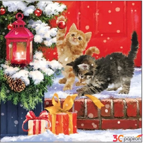 Szalvéta 25x25cm Kittens On Doorstep 20db
