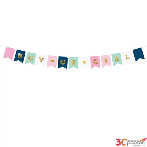 Party banner Boy or Girl, 15x175cm