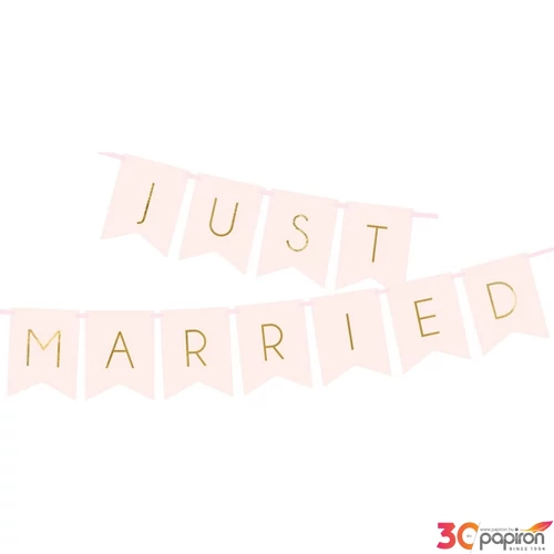 Party banner Lánybúcsúra Just Married light pink fűzér 15x155cm