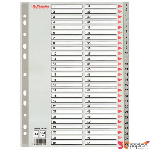 Regiszter Esselte 1-54 műanyag 1-54 A4 maxi Esselte