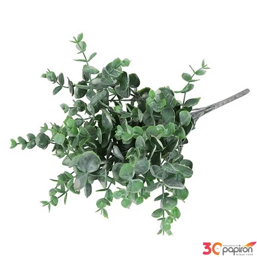 Selyemvirág - művirág Eucalypthus L frost SDDST53