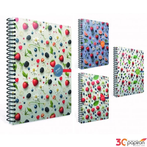 Spirálfüzet 17x24cm Gipta Berry Notes keményfedeles  120 lapos kockás 7215