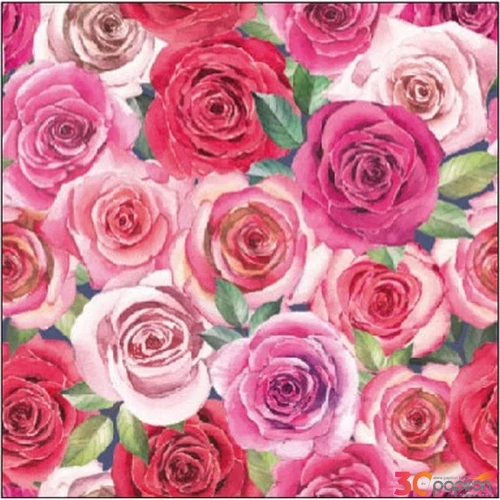 Szalvéta 25x25cm Ariana 20db-os 