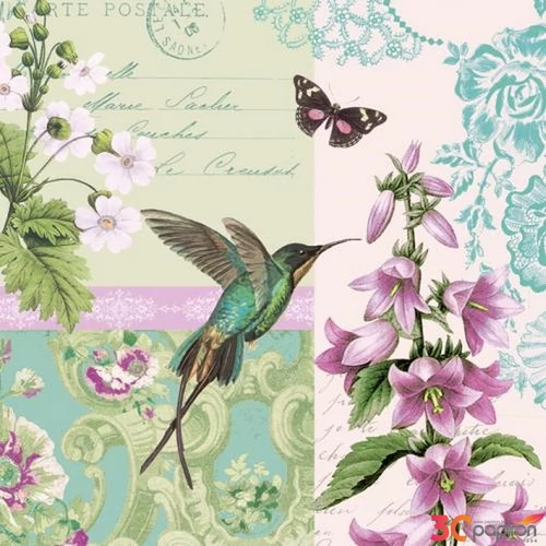 Szalvéta 25x25cm Belle Colibri 20db-os 