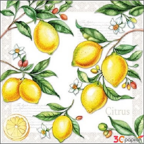 Szalvéta 25x25cm Citrus 20db-os 