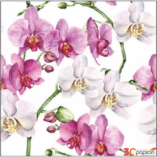 Szalvéta Ambiente Elegance Elegant orchids white papírszalvéta 25x25cm,15db-os
