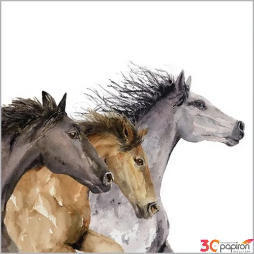 Szalvéta 25x25cm Hoof Beats  20db-os 