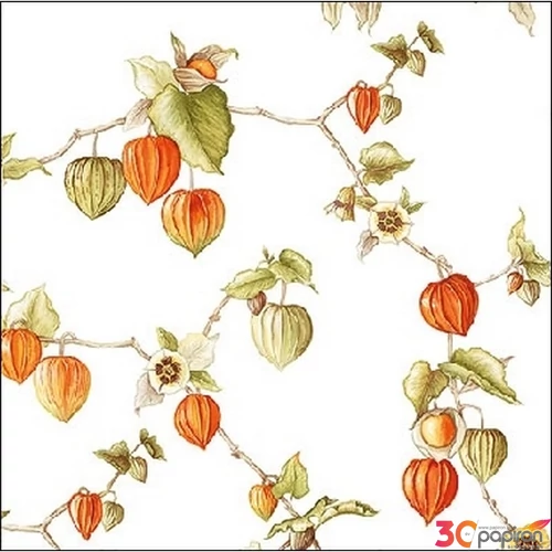 Szalvéta 25x25cm Lampion 20db-os 