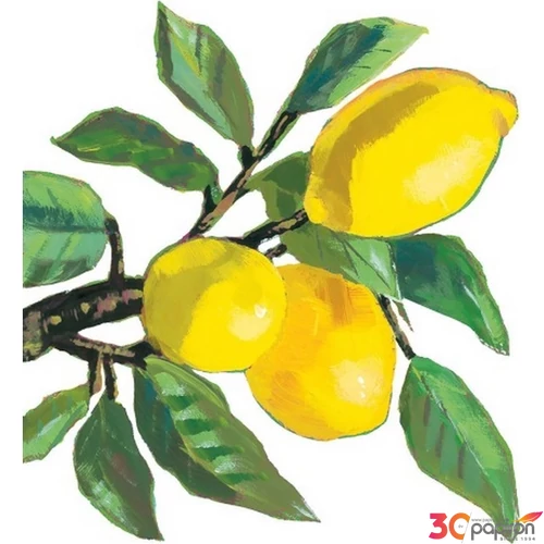Szalvéta 25x25cm Lemon Musée white 20db-os 