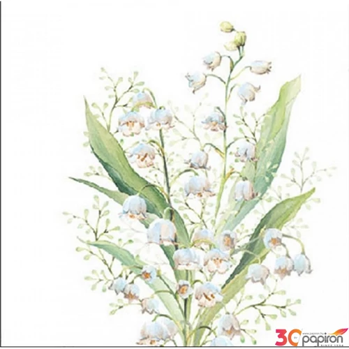 Szalvéta 25x25cm Lily of the valley white 20db-os 