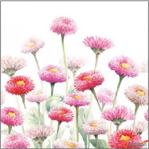 Szalvéta Ambiante Painted Bellis papírszalvéta 25x25cm,15db-os