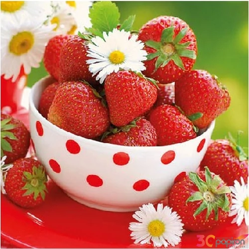 Szalvéta 25x25cm Strawberries In Bowl 20db-os 