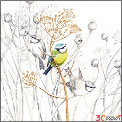 Szalvéta 25x25cm Sweet Little Bird  20db-os 