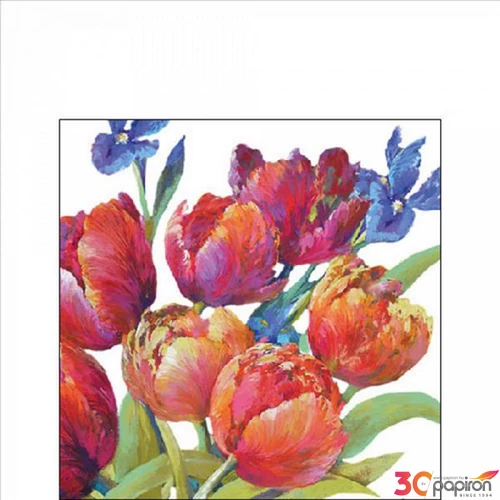 Szalvéta Ambiante Tulips of joy papírszalvéta 25x25cm,15db-os