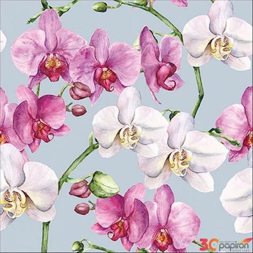 Szalvéta Ambiente Elegance Elegant orchids blue papír papírszalvéta 33x33cm,20db-os