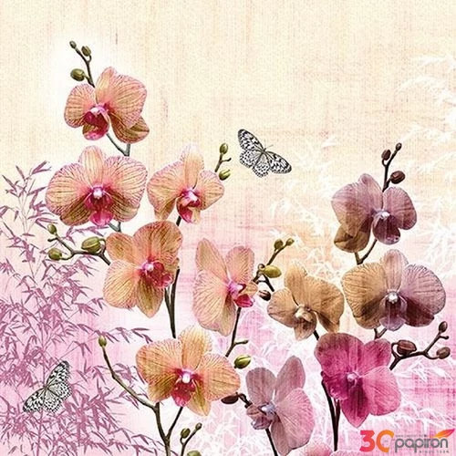 Szalvéta Ambiante Orchid Orient papírszalvéta 33x33cm,20db-os