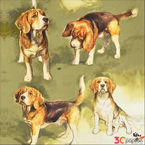 Szalvéta 33x33cm Beagles 20db-os