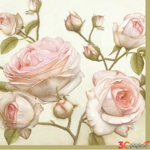 Szalvéta 33x33cm Beauty Roses 20db-os