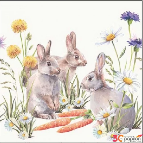 Szalvéta Ambiante Carrot treat papírszalvéta 25x25cm,15db-os