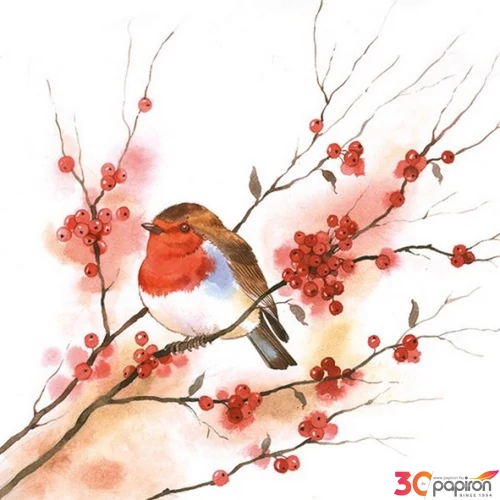 Szalvéta 33x33cm Birdy Robin 20db-os