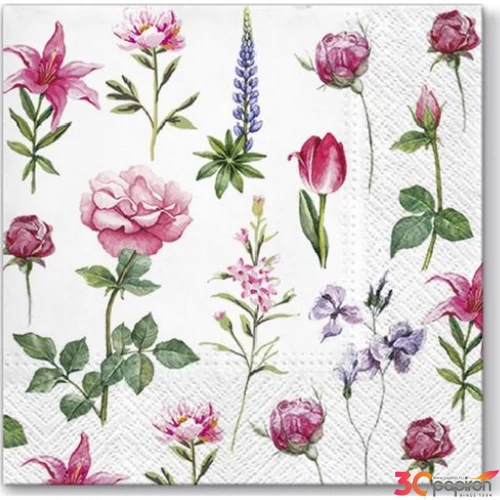 Szalvéta 33x33cm Boons of Garden 20db-os