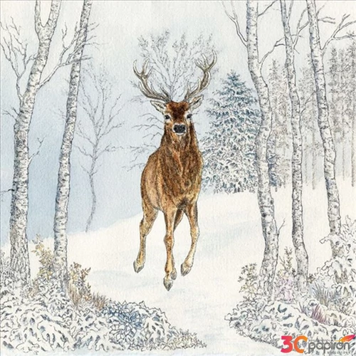 Szalvéta 33x33cm Cerf Hiver 20db-os 