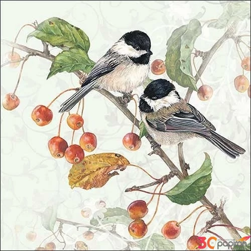 Szalvéta 33x33cm Chickadee 20db-os