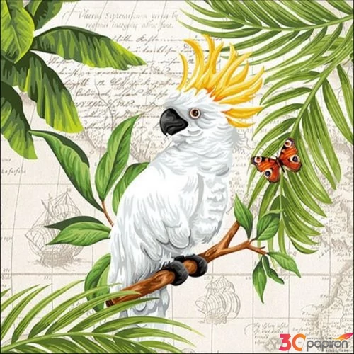 Szalvéta 33x33cm Cockatoo 20db-os