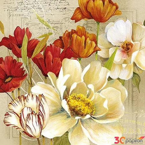 Szalvéta 33x33cm Coralie 20db-os
