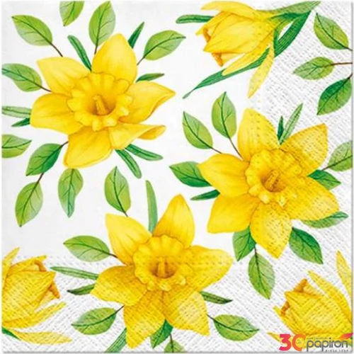 Szalvéta 33x33cm Daffodils in Bloom, 20db-os papírszalvéta 33x33cm,20db-os