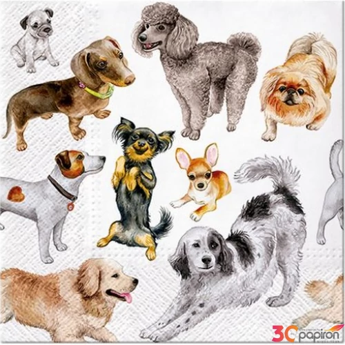 Szalvéta 33x33cm Dogs Happiness 20db-os