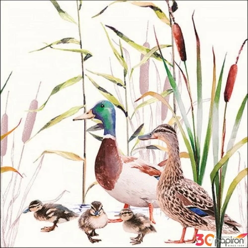 Szalvéta 33x33cm Ducks Couple 20db-os