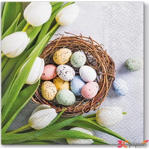 Szalvéta 33x33cm Eggs and Tulips 20db-os