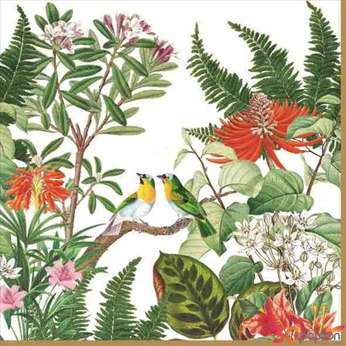 Szalvéta 33x33cm Exotica,20db-os