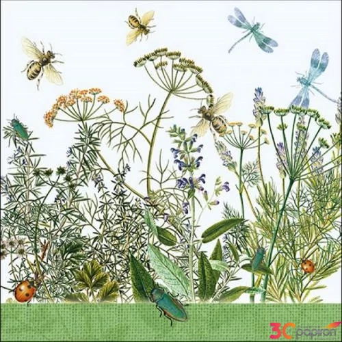 Szalvéta 33x33cm Field Flowers 20db-os