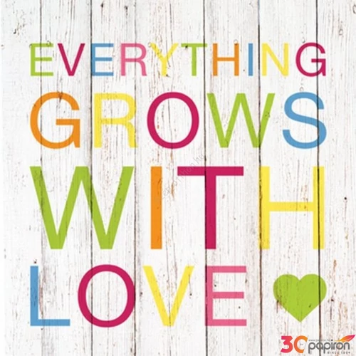 Szalvéta 33x33cm Grows With Love 20db-os 
