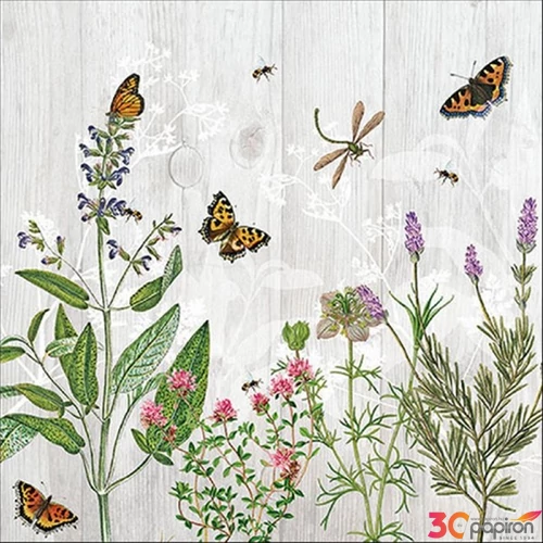 Szalvéta 33x33cm Herb Garden 20db-os