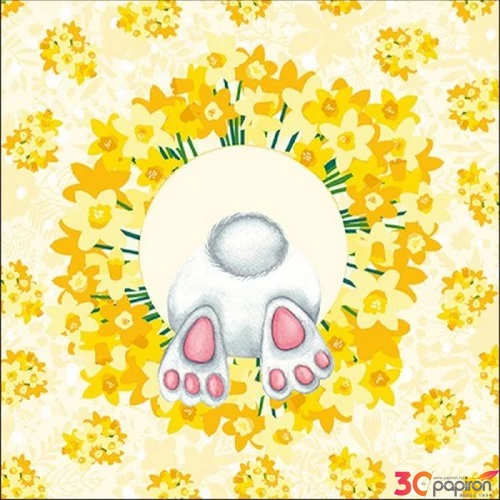 Szalvéta 33x33cm Hide And Seek 20db-os