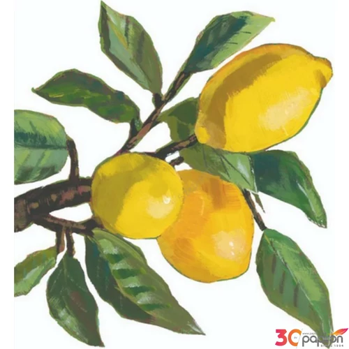 Szalvéta 33x33cm Lemon Musée white 20db-os 