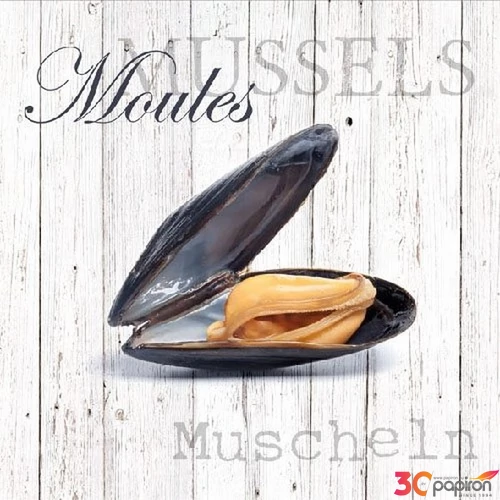 Szalvéta 33x33cm Moules 20db-os