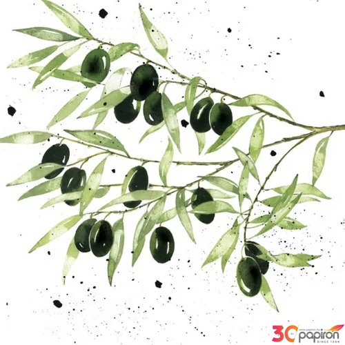 Szalvéta 33x33cm Olives 20db-os 