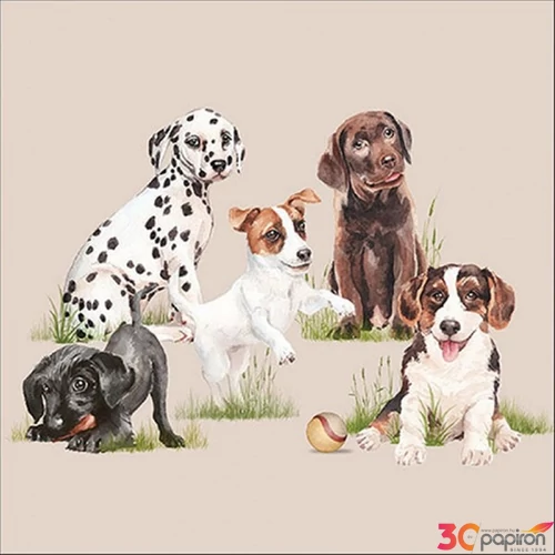 Szalvéta 33x33cm Playing puppies 20db-os