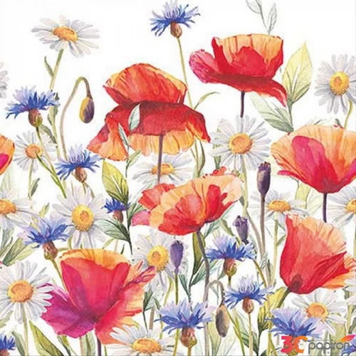 Szalvéta Ambiante Poppies and cornflowers papírszalvéta 33x33cm,20db-os