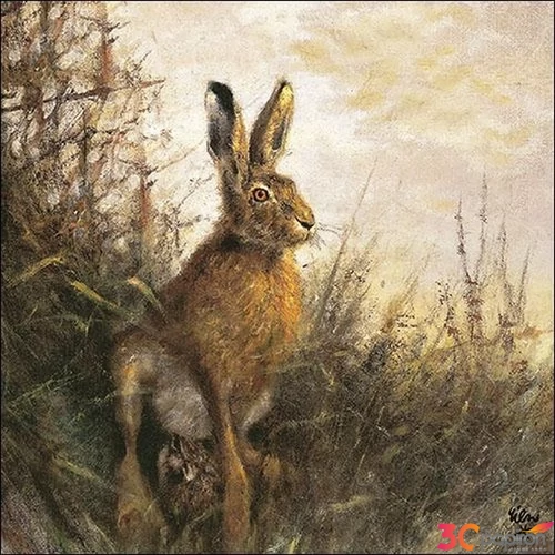 Szalvéta 33x33cm Portrait Of Hare 20db-os