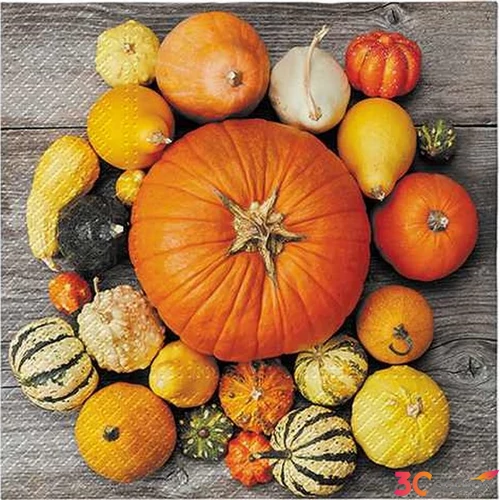 Szalvéta 33x33cm Pumpkin Composition 20 db-os