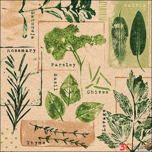 Szalvéta 33x33cm Recycled Herb prints 