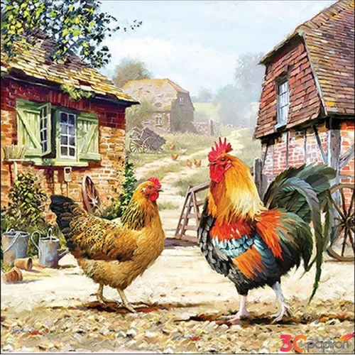 Szalvéta 33x33cm Rooster ranch 20db-os