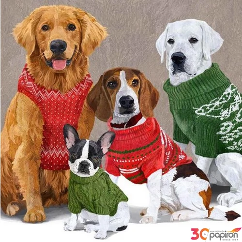 Szalvéta 33x33cm Sweater Dogs 20db-os 